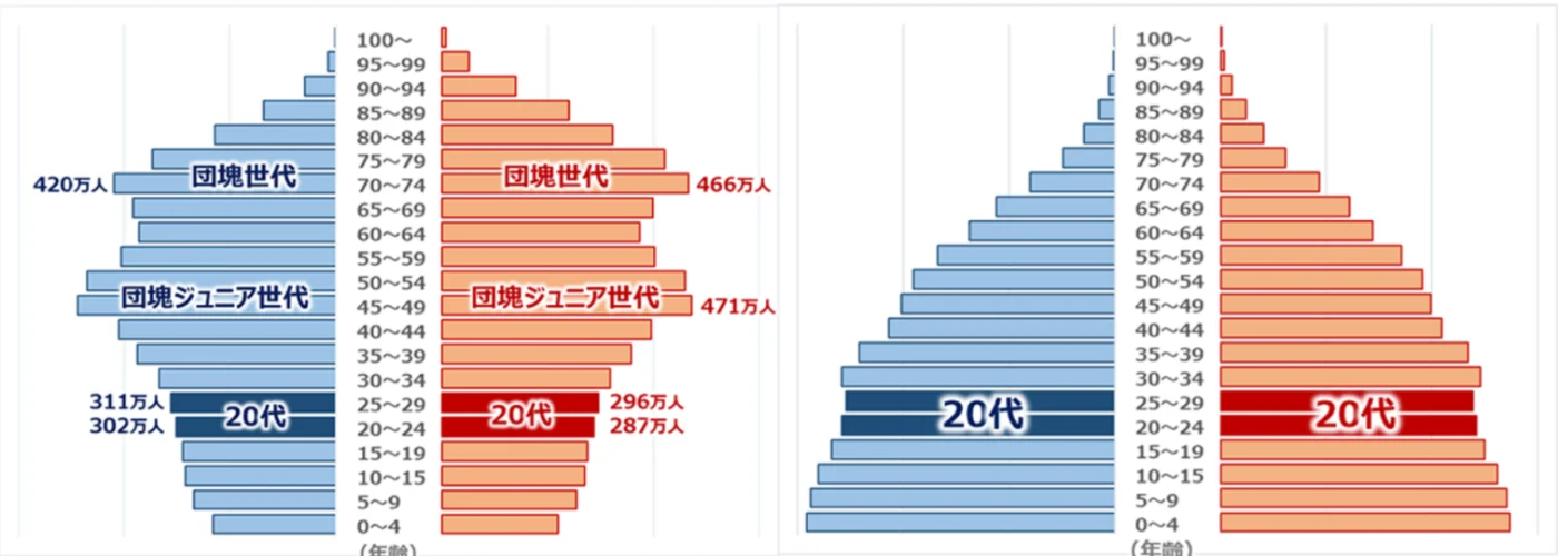 グラフは日本の人口統計(左)と世界の人口統計(右)を比較したものです。(出典:大和証券)