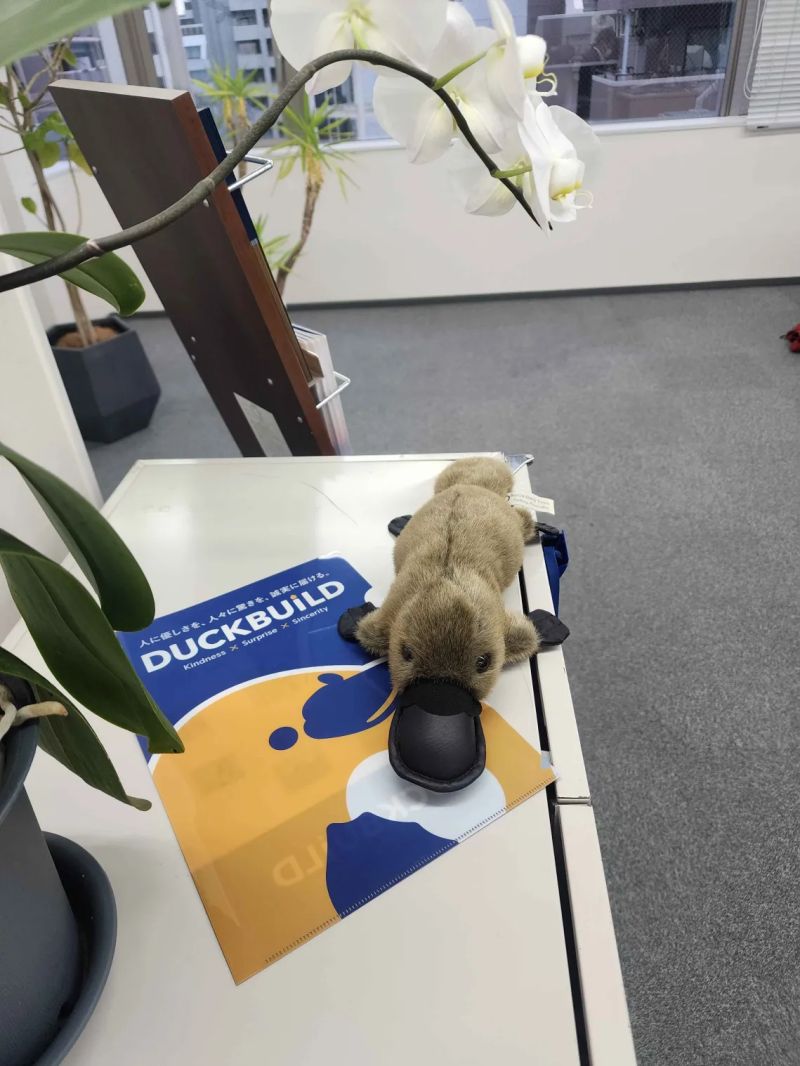 どこにも売っていない。ぬいぐるみ